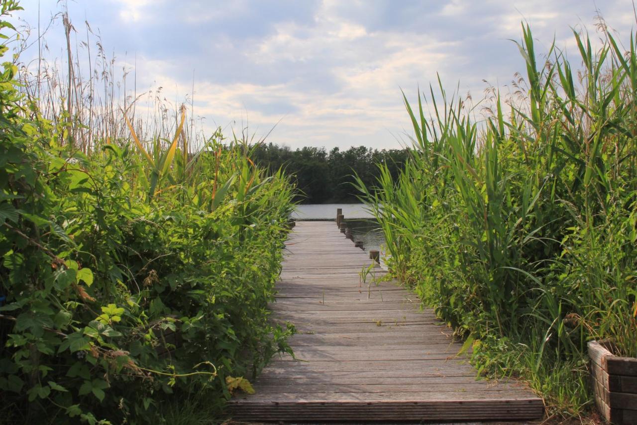 Moderne Und Helle Ferienwohnung Am Ploener See Bosau ภายนอก รูปภาพ